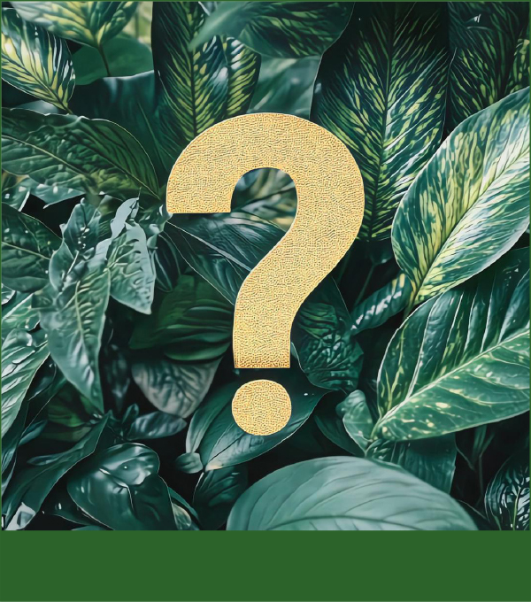 Klima-Quiz